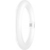 OSRAM HOMELIGHTING LED trubica En.trieda 2021: E (A - G) G10q kruhová žiarivka 11 W = 22 W chladná biela (Ø x d) 312 mm x 212 mm 1 ks; 4099854042645