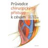 Průvodce chirurgickými přístupy k cevám
