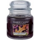 Yankee Candle Autumn Glow 411 g