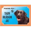 Dafiko Tabulka Tady hlídám! Labradorský retriever tmavý 1ks