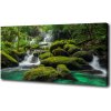 Foto obraz na plátne Vodopád v lese 100x50 cm