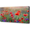 Foto obraz na plátne do obývačky Plolní kvety 100x50 cm