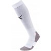 Puma Team LIGA Socks