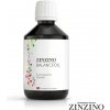 Zinzino BalanceOil Tutti Frutti olej pre deti 300 ml, vysoký obsah Omega-3 (EPA + DHA) mastných kyselín