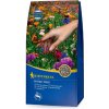 Tráva Blumen-Wiese 1kg Kvetinová lúka