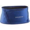 Salomon Pulse Belt