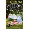 Willow Springs: A Destiny Novel (Toni Blake)(Brožovaná)
