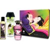 Shunga - kit fruity kisses collection 125ml+100ml+165ml