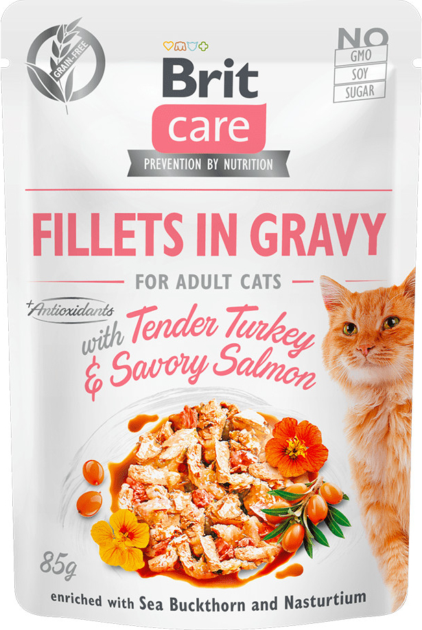 Brit Care Cat Fillets in Gravy with Tender Turkey & Savory Salmon 24 x 85 g