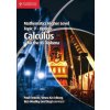Mathematics Higher Level: Topic 9 - Calculus - Paul Fannon, Vesna Kadelburg, Ben Woolley, Stephen Ward