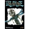 Yu-Gi-Oh! (2-in-1 Edition), Vol. 13