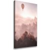 Vertikálny foto obraz na plátne Lietajúci balón les 50x100 cm
