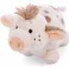 Nici Prasátko Pigwick 12 cm
