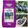 Hnojivo na čučoriedky ORO Bilberry 5kg dlhodobo pôsobiace 100 dní GREEN ORO