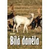 Bílá daněla - Aleš Dostál