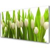 Nástenný panel Tulipány kvety rastlina 100x50 cm