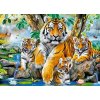 CASTORLAND Puzzle Tigre pri rieke 120 dielikov