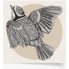 Vtáky: Vták 2 Plakat Premium 50x50cm