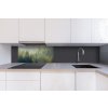 DIMEX | Dibond doska za kuchynskú linku | DBW-08040-194 Zahmlený les| 80 x 40 cm + Dibond obkladová doska Dimex do kuchyne Zahmlený lesv rozmere 80 x 40 cm
