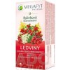 MEGAFYT Bylinková lekáreň Obličky s brusnicou porciovaný čaj 20 x 1,5 g