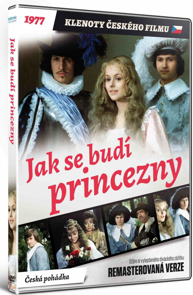 JAK SE BUDÍ PRINCEZNY DVD