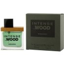 Dsquared2 Wood Intense toaletná voda pánska 100 ml