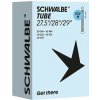 Schwalbe 29