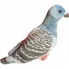 Plyšová Hračka plyšový holub ZOO vták 22 cm