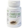 CHALUHA BUBLINATÁ FORTE 60 kapsúl