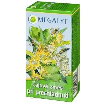 MEGAFYT Čajová zmes pri prechladnutí spc 20x1,5 g