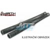 Wirth Federn Pružiny predných vidlíc progresívne Honda CBR600S / 04-07 + GL1800 Goldwing / 01-05 + Ducati 750SS / 90-98 + Yamaha FZR1000 Exup / 91-93 + XV1700 Road Star Warrior / 03-05 + / 91-00