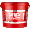 Scitec Nutrition 100% Whey Protein Professional 5000 g, jahoda