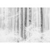 Komar Vliesová fototapeta Winter Wood 400 x 280 cm