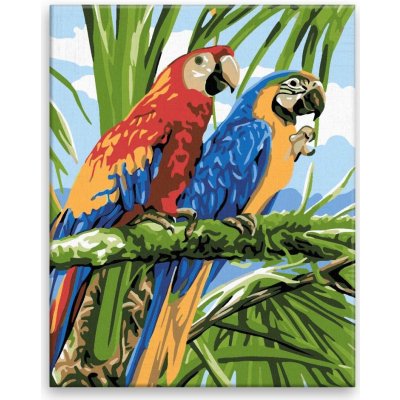 Maľovanie podľa čísel Dva papagáje