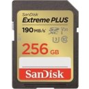 SanDisk SDXC UHS-I U3 256GB SDSDXWV-256G-GNCIN