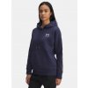Under Armour Icon Fleece Taped Hoodie W 6003708403