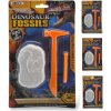 Fosília dinosaurus 9x6cm -