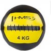 WLB 4 KG WALL BALL HMS