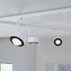 Paulmann URail LED-bodové svetlo Aldan, 4 000 K, signálna biela - 94898