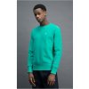 Champion crewneck sweatshirt spgr