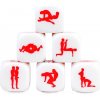 Secretplay Dice Kamasutra Gay 25mm