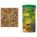 Tropical Meal Worms 100 ml