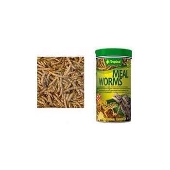 Tropical Meal Worms 100 ml