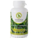 Moringa Caribbean 60 kapsúl