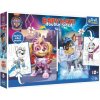 Trefl Puzzle MAXI obojstranné 2x10 dielikov Hrdinské psy Tlapková patrola/Paw patrol v krab. 40x27cm 24m+
