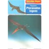 Papierový model - Vtákojašter - Pteranodon ingens
