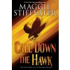 Call Down the Hawk (The Dreamer Trilogy, Book 1) - Maggie Stiefvater