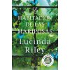 LA HABITACIÓN DE LAS MARIPOSAS