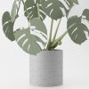 Monstera Magnetica - dizajnová 3D tlačená dekorácia, BOHO štýl Farba: Šedá