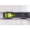 DIMEX | Dibond doska za kuchynskú linku | DBW-08040-189 Svieži zelený les| 80 x 40 cm + Dibond obkladová doska Dimex do kuchyne Svieži zelený lesv rozmere 80 x 40 cm